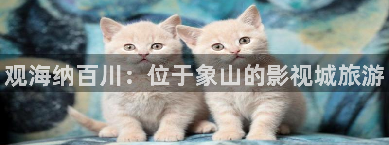 羞羞影院av：观海纳百川：位于象山的影视城旅游