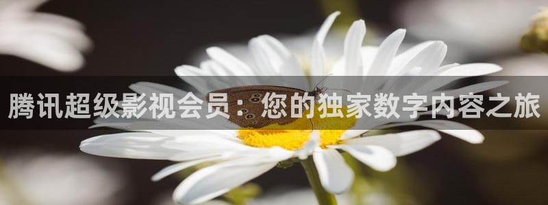 羞羞影院体验：腾讯超级影视会员：您的独家数字内容之旅
